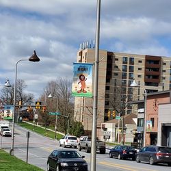 City of Hershey - Street full of Hershey Kisses