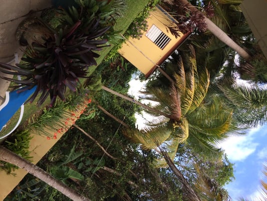 Ceiba Country Inn Bed & Breakfast by null