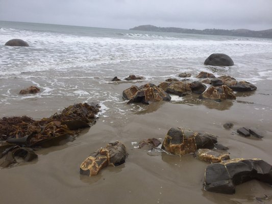 Moeraki Boulders Beach by null
