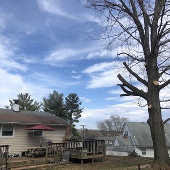 Aarons Landscaping - a tree that fell down on a house - Landscaping Near Me Aarons Landscaping - a tree that fell down on a house - Landscaping Near Me