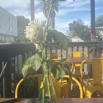Birria El Rey - Back patio - Mexican Near Me - San Diego, California