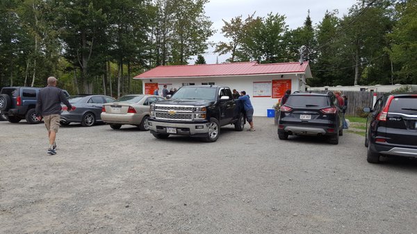 The Clam Digger by null