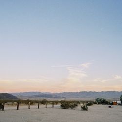 Joshua Tree Lake Rv & Campground - The view is amazing.