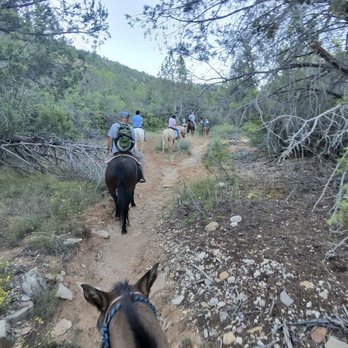 Zion Mountain Trail Rides - On my horse Appy. Named after Appaloosa. She was wonderful. But when she wants to eat a flower or tree you let her. LOL - Horseback Riding Near Me - Orderville, Utah Zion Mountain Trail Rides - On my horse Appy. Named after Appaloosa. She was wonderful. But when she wants to eat a flower or tree you let her. LOL - Horseback Riding Near Me - Orderville, Utah