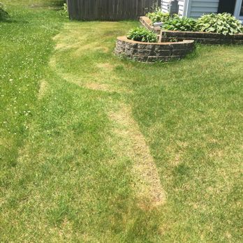 Rosemount Saw & Tool - 2nd photo of torn up lawn from incorrectly installed blade. - Hardware Stores Near Me - Rosemount, Minnesota
