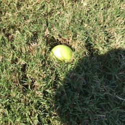 Fairway...no joke