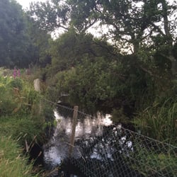 Hide Away Camping & Caravan Park - A nice brook out the end.