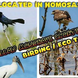 Eco/birding safari