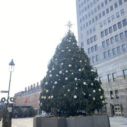South Street Seaport Christmas 2022 South Street Seaport Christmas Tree - Christmas Trees - 22 Fulton St, New  York, Ny - Yelp