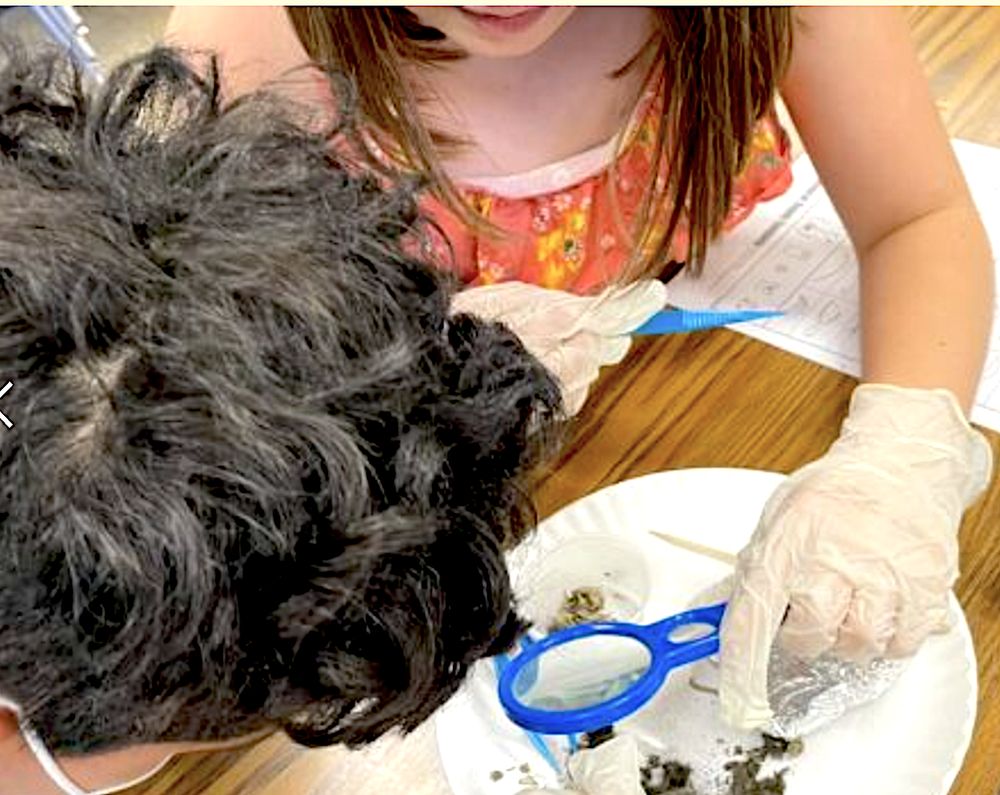 Highland Free School - childcare center in Tucson, AZ