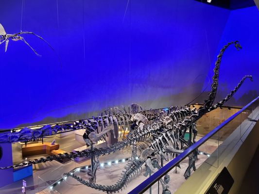 Lee Kong Chian Natural History Museum, Singapore by null
