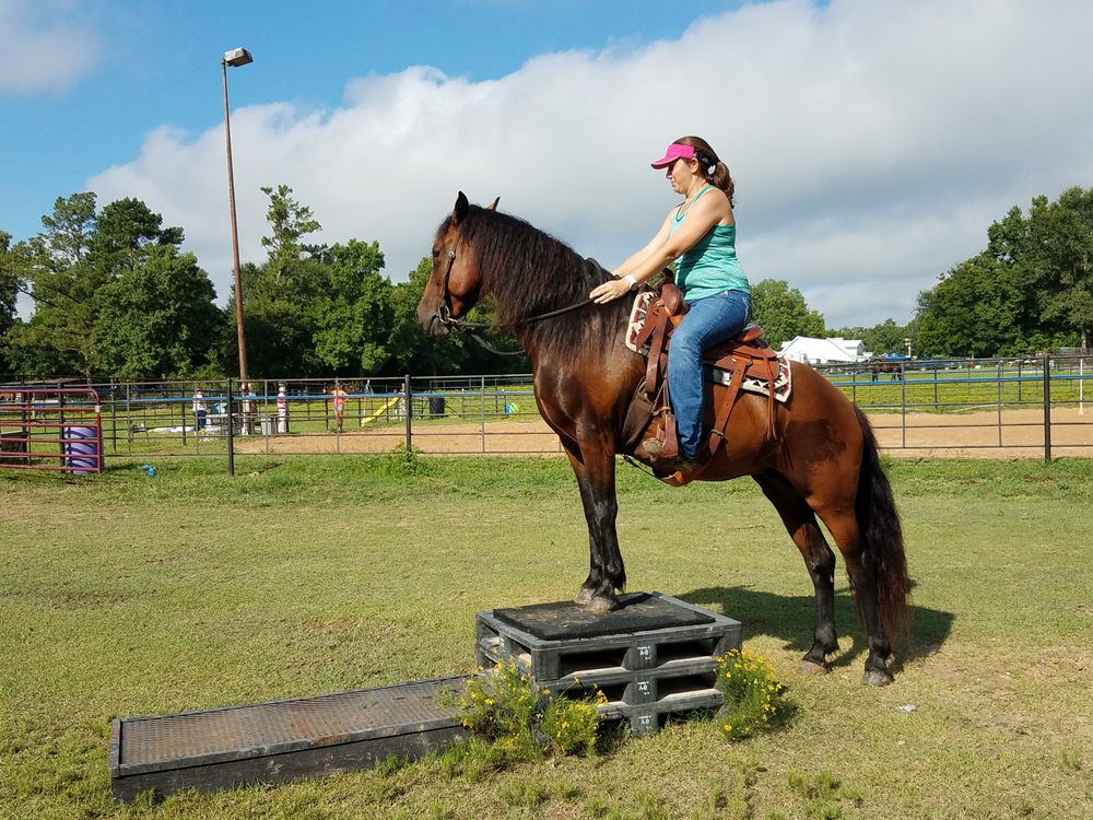 Star struck ranch - equestrian in Cabool, MO