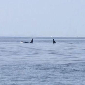 Outer Island Expeditions - Fishing Near Me - Eastsound, Washington