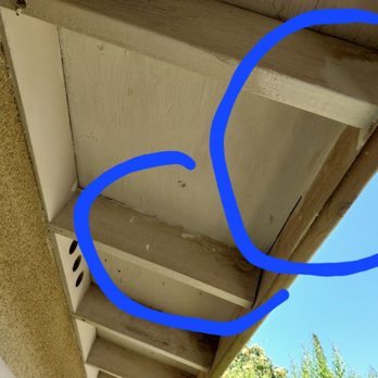 Exxel Termite - sloppy paint job. so unprofessional. - Pest Control Near Me - Paramount, California