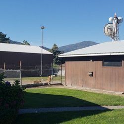 Animal Inn - The best kennel around!!!
