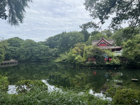 Inokashira Park by null