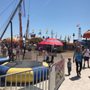 Photo of Sarasota County Fair