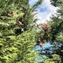 Photo of JRs Tree Service