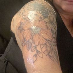 Old Crow Tattoo
