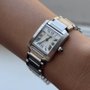 Swiss Ice