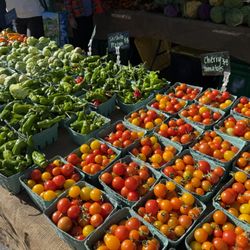 Steamboat Springs Farmers Market - Fresh produce
