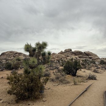 Auto Camp - Joshua Tree - Campgrounds Near Me - Joshua Tree, California
