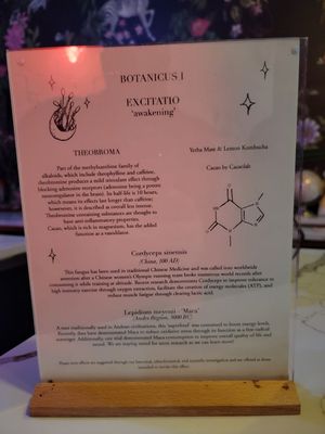 BKE Kombucha by null