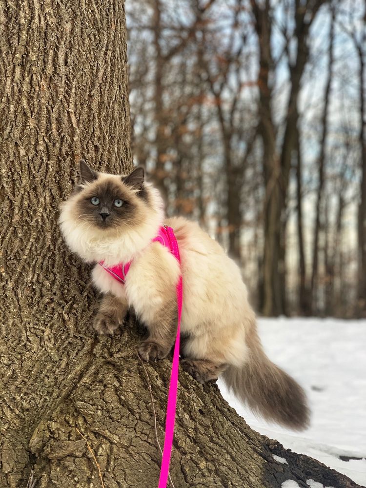 GROOMINGDALES Updated August 2024 26 Photos & 42 Reviews 37478