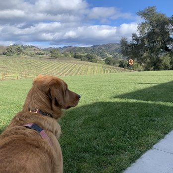 Robert Young Estate Winery - Dog friendly! - Wineries Near Me - Geyserville, California Robert Young Estate Winery - Dog friendly! - Wineries Near Me - Geyserville, California