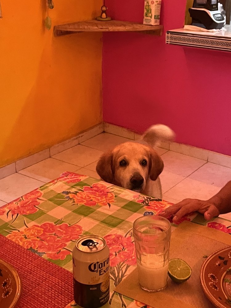 Rivera's Kitchen