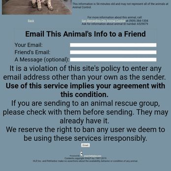 Animal Services - Puppy time - Animal Shelters Near Me - San Bernardino, California Animal Services - Puppy time - Animal Shelters Near Me - San Bernardino, California