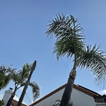 Active Landscape And Tree Service - Tree Services Near Me Active Landscape And Tree Service - Tree Services Near Me