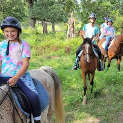 Royal Legend Arabians & Horse Center - Enjoy the outdoors with horses!
