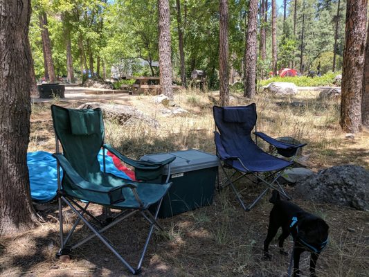 Pine Flat Campground by null