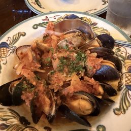 Mussels Mussels