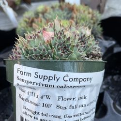 Farm Supply Company