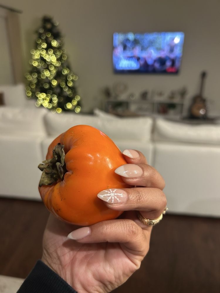 Lavish Nails and Spa