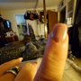 Photo of Wildcat Nail Spa