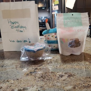 Sit 'N Stay Pet Sitting - Hiro loves his birthday presents! - Dog Walkers Near Me Sit 'N Stay Pet Sitting - Hiro loves his birthday presents! - Dog Walkers Near Me