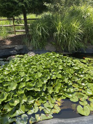 Brookeville Beer Farm by null