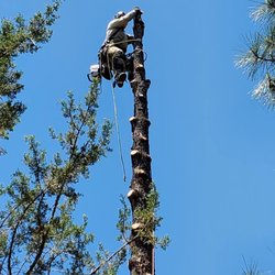 Josh Boggs Tree Service