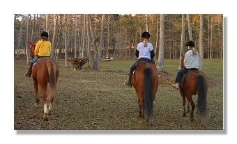 High Country Stables - equestrian in Dallas, GA