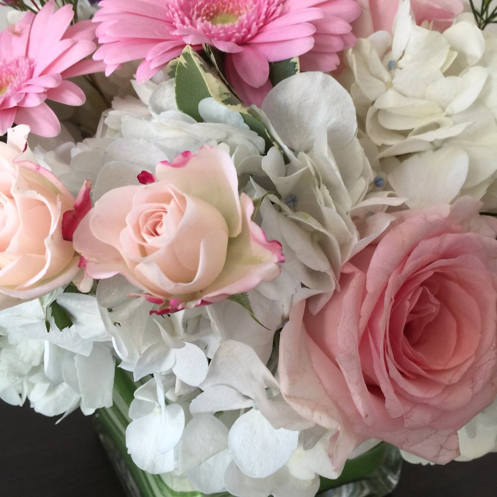 Cedar Grove Gardens - Florists Near Me - Dorchester, Massachusetts