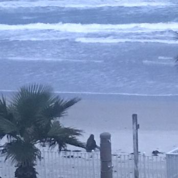 Perry's Ocean Edge Resort - Taken from our room. A peaceful even on the beach. - Hotels Near Me - Daytona Beach, Florida Perry's Ocean Edge Resort - Taken from our room. A peaceful even on the beach. - Hotels Near Me - Daytona Beach, Florida