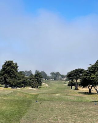 Bayonet & Black Horse by null