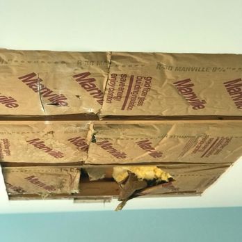 Speedy Gonzalez - New insulation - General Contractors Near Me