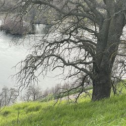 Nimbus Dam - Bring a blanket and chill