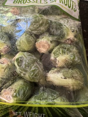 Costco Wholesale by null