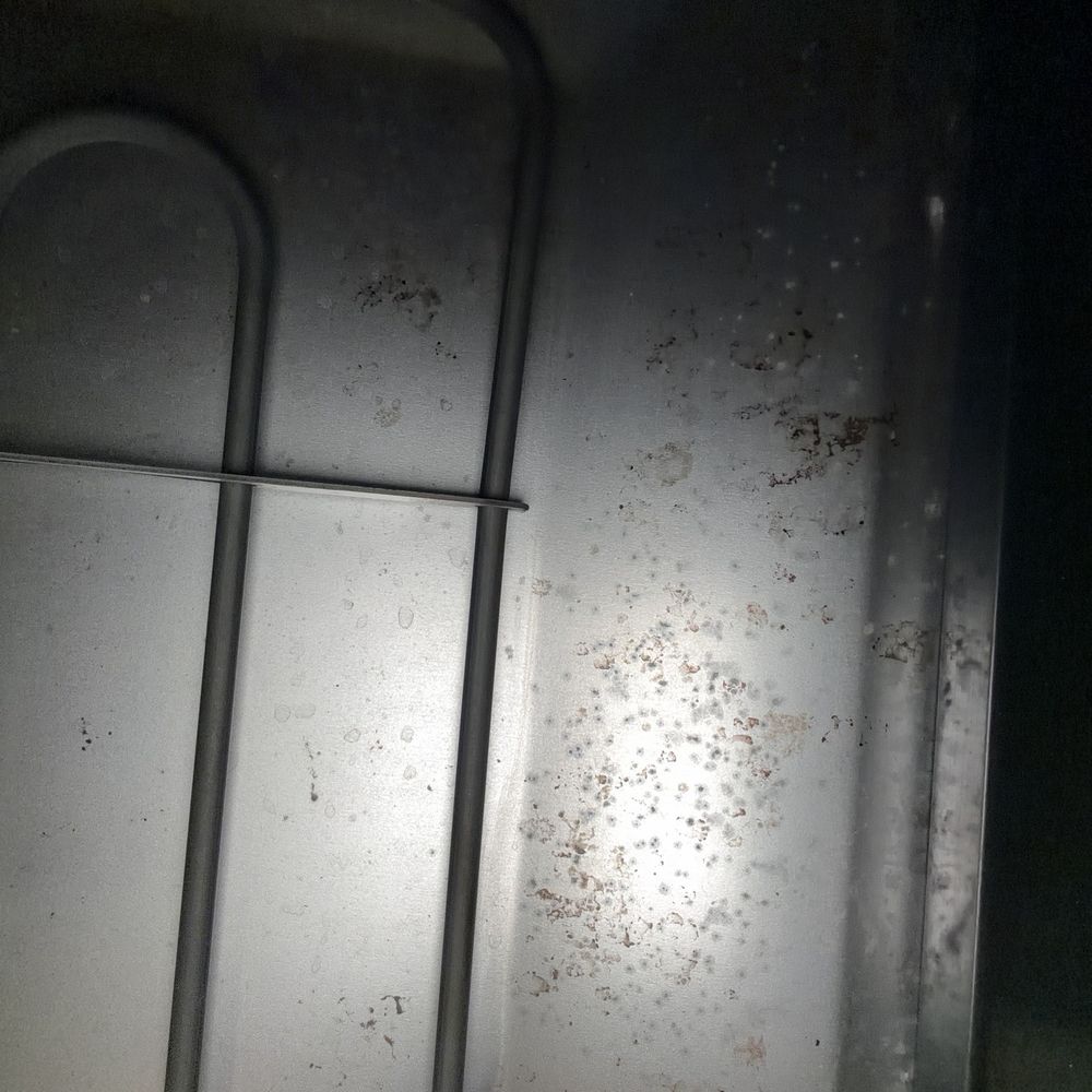 Dust It Off Cleaning - Filthy oven - Home Cleaning Near Me