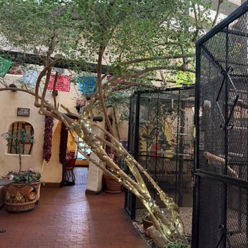 La Posta de Mesilla - Inside - Mexican Near Me - Mesilla, New Mexico